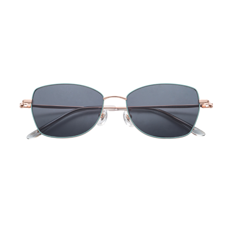 80215-Titanium Sunglasses