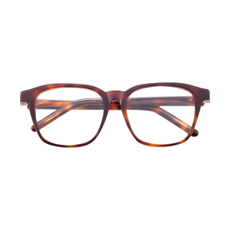 Glasses Frame-Metal Glasses-HJ16231