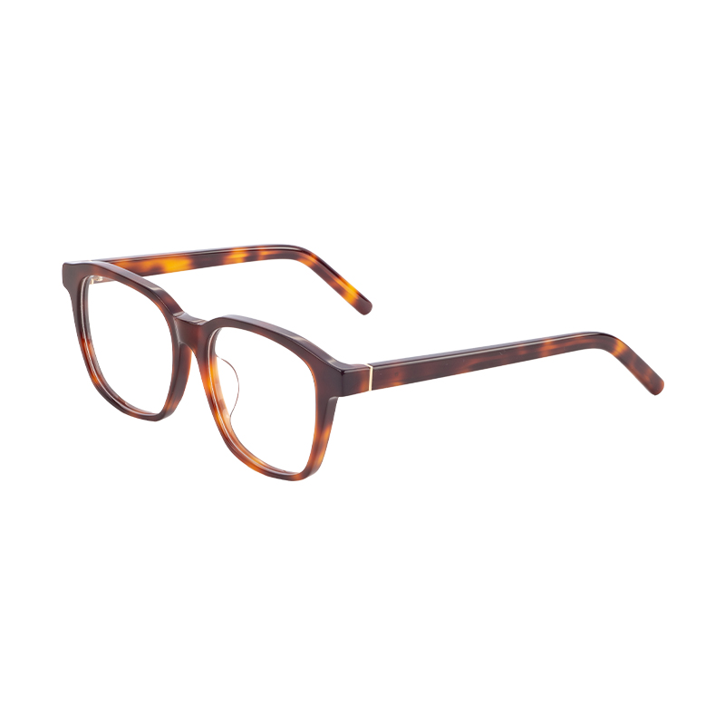 Glasses Frame-Metal Glasses-HJ16231