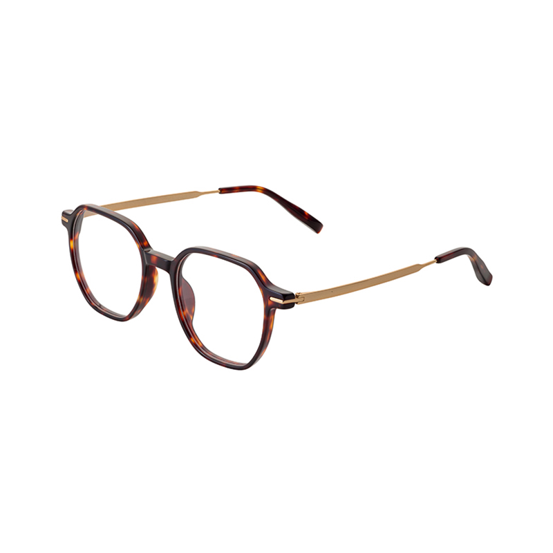 Glasses Frame-Titanium Glasses-HJ16701