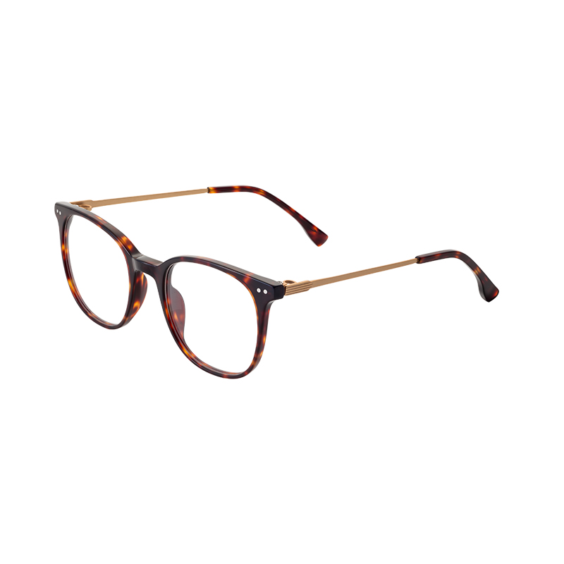 Glasses Frame-Titanium Glasses-HJ16703