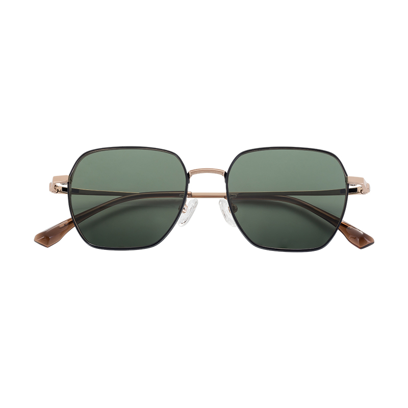 T21106-Titanium Sunglasses
