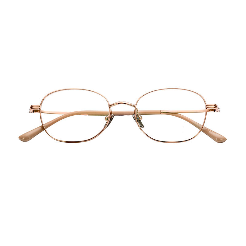HJ28011-Titanium Glasses