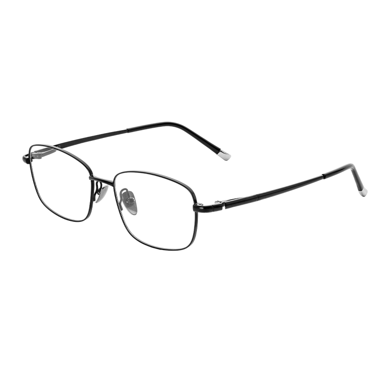 HJ22021-Titanium Glasses