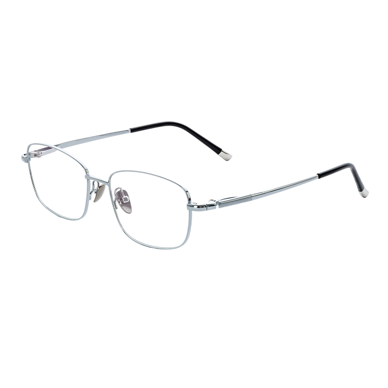HJ22021-Titanium Glasses