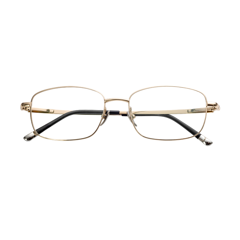 HJ22021-Titanium Glasses