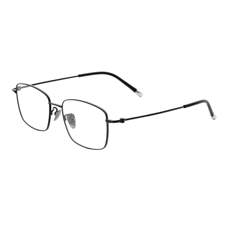 HJ22083-Titanium Glasses