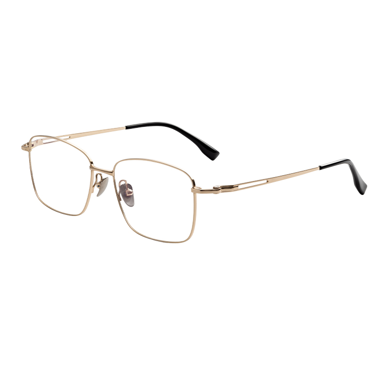 HJ22004-Titanium Glasses