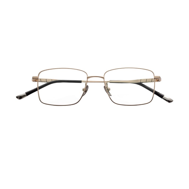 HJ22034-Titanium Glasses