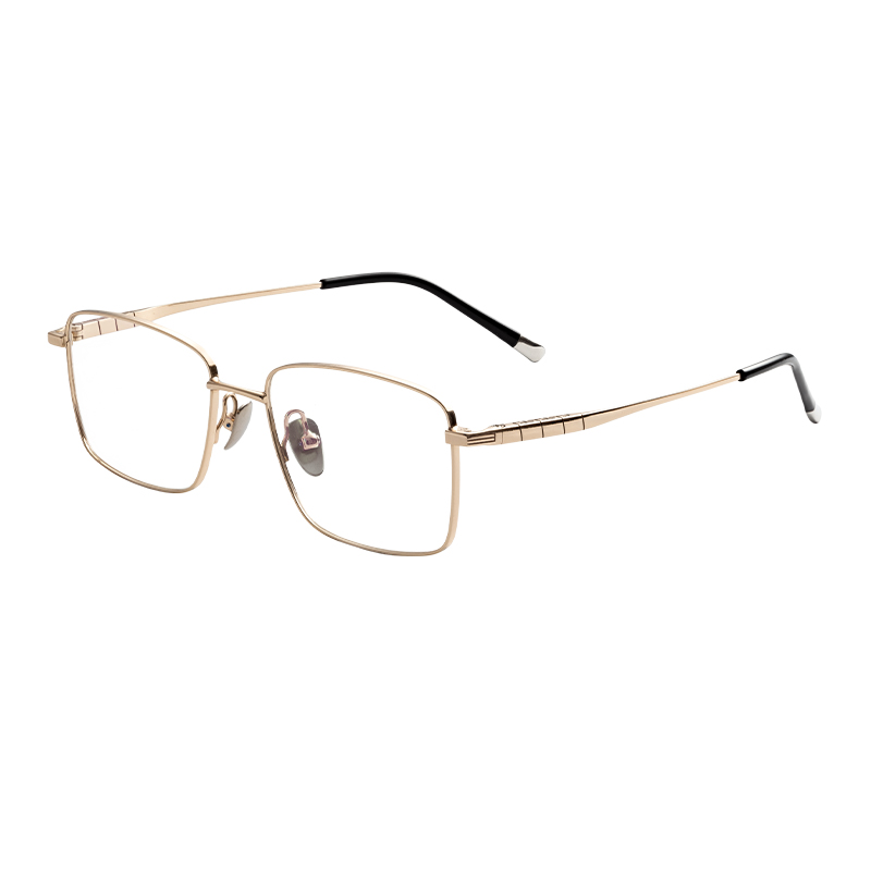 HJ22034-Titanium Glasses