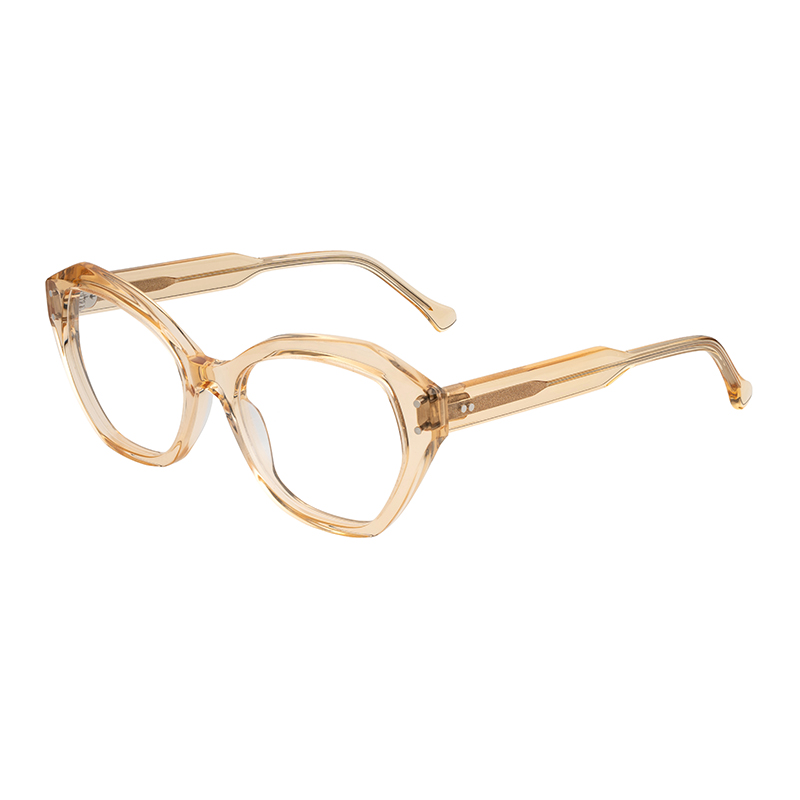 HJ16192-Acetate Low MOQ Fast Dispatch Handmade Full Rim Cat Eye Specialty Frames Multicolor Acetate Optical Eyeglass Frames Eyewear
